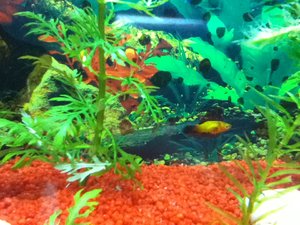 IMG_0020.JPG IMG_0020.JPG