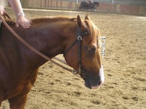 P9100036 (640x479).jpg