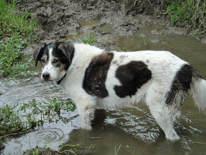 DSC00478_Bildgröße ändern.JPG