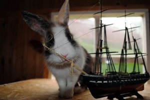 DSC_7073 - Kopie.JPG