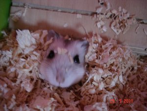 DSC06105 (3).jpg DSC06105 (3).jpg