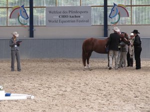 IMG_2141 (640x480).jpg