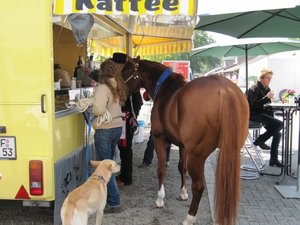 IMG_2222 (640x480).jpg