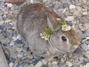 DSCI1001.jpg DSCI1001.jpg