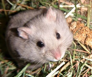 DSCF0020.jpg DSCF0020.jpg