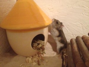 1235978_551764801539878_1177676636_n.jpg 1235978_551764801539878_1177676636_n.jpg