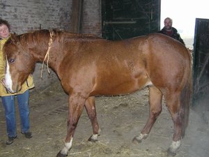 berni 8 (640x479).jpg