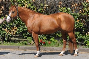 DSC_4114 (640x425).jpg