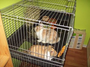 Dia und Bo.jpg Dia und Bo.jpg