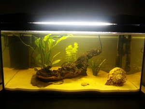 20130920_152245.jpg 20130920_152245.jpg