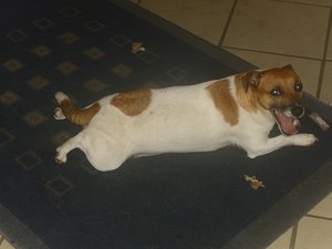 DSCI1536.jpg DSCI1536.jpg