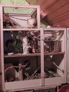 DSCN2137.jpg DSCN2137.jpg