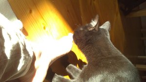 DSC_0928.JPG DSC_0928.JPG