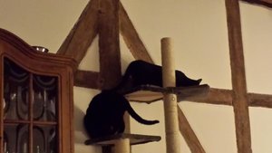 Emil u Anton1.JPG Emil u Anton1.JPG