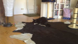 DSC_0941.JPG DSC_0941.JPG