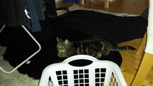 Winnie2.JPG Winnie2.JPG