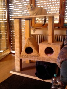 Foto0062.jpg Foto0062.jpg