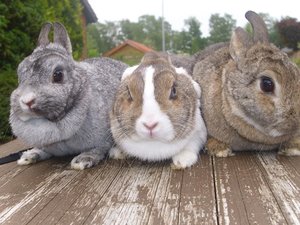 DSCI0164.jpg DSCI0164.jpg