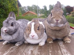 DSCI0165.jpg DSCI0165.jpg