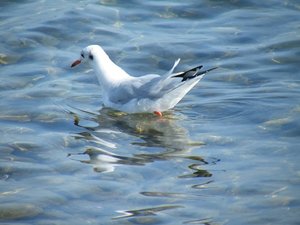 DSCF1764 - Kopie.JPG