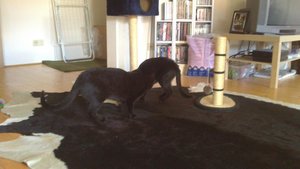 DSC_0933.JPG DSC_0933.JPG