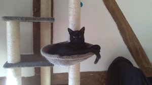 DSC_0948.JPG DSC_0948.JPG