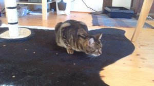 DSC_0958.JPG DSC_0958.JPG