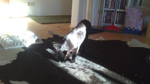 DSC_0957.JPG DSC_0957.JPG