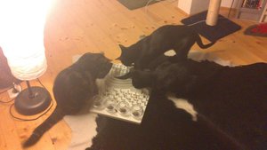 DSC_0962.JPG DSC_0962.JPG