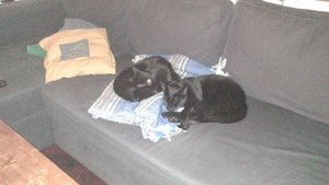 DSC_0973.JPG DSC_0973.JPG