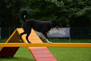 DSC_0421neu.jpg DSC_0421neu.jpg