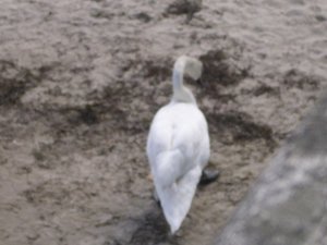 DSCI1017.jpg DSCI1017.jpg