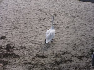 DSCI1018.jpg DSCI1018.jpg