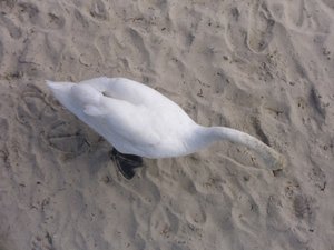 DSCI1019.jpg DSCI1019.jpg