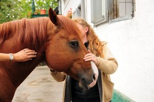 Sir Bernhard 003 (640x425).jpg