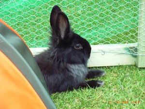 Cleo & Sam (156).jpg