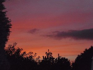 DSCI1811.jpg DSCI1811.jpg