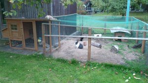 DSC_0991.2.jpg DSC_0991.2.jpg