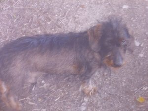 DSCI1822.JPG DSCI1822.JPG