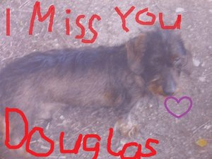 DSCI1815.jpg DSCI1815.jpg