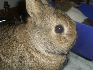 DSCI0775.jpg DSCI0775.jpg