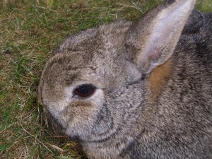 DSCI0891.jpg DSCI0891.jpg