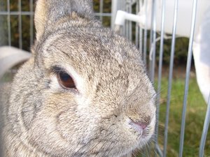 DSCI0893.jpg DSCI0893.jpg