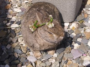 DSCI1000.jpg DSCI1000.jpg