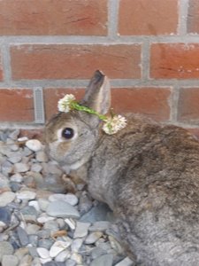 DSCI1002.jpg DSCI1002.jpg