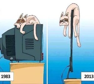 1234806_679860008705861_154450349_n.jpg 1234806_679860008705861_154450349_n.jpg