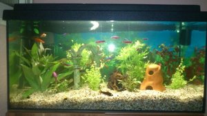 IMG-20131006-WA0001 (640x360).jpg