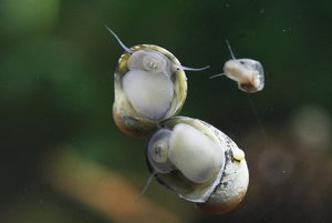 kjghgsefdw.JPG kjghgsefdw.JPG