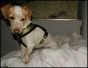 Amy Geschirr 011.JPG