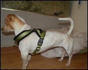 Amy Geschirr 018.JPG